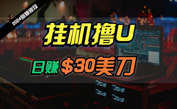 2024最新海外挂机撸U项目，全程无人值守，可批量放大，日赚30美刀