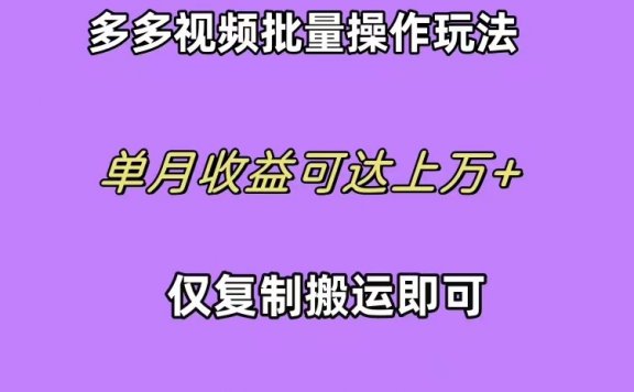 拼多多视频带货快速过爆款选品教程 每天轻轻松松赚取三位数佣金