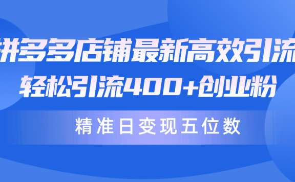 拼多多店铺最新高效引流术,轻松引流400+创业粉,精准日变现五位数!