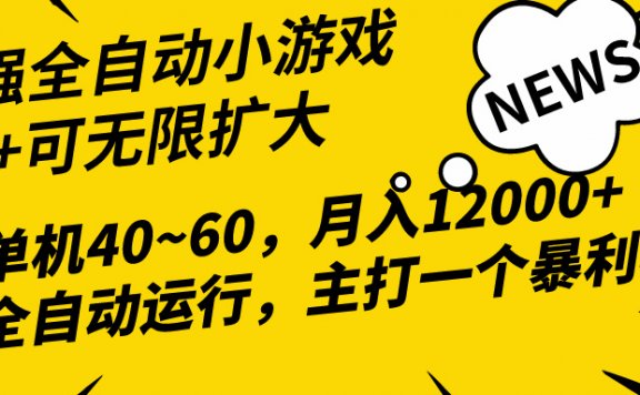 2024最新全网独家小游戏全自动挂机项目,单机40~60,稳定躺赚,小白都能月入过万