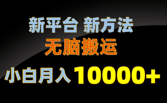 新平台新方法,无脑搬运,月赚10000+,小白轻松上手不动脑