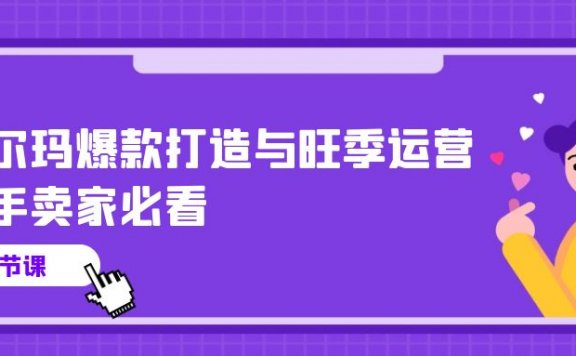 沃尔玛爆款打造与旺季运营，新手卖家必看（11节视频课）