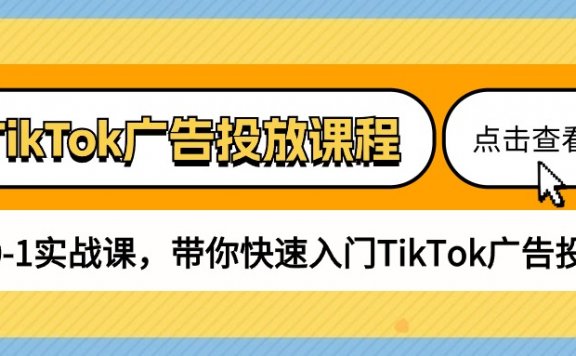 TikTok广告投放课程，从0-1实战课，带你快速入门TikTok广告投放（30节课）