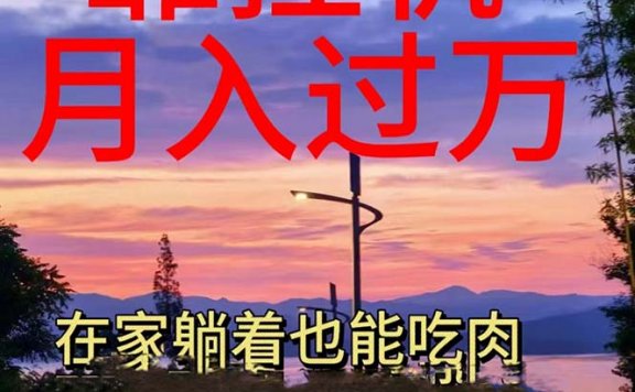 靠挂机，日入1000+，躺着也能吃肉，电脑手机都可挂