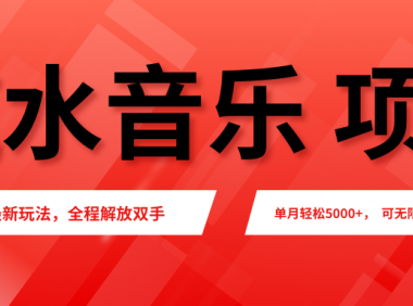汽水音乐人项目,新手单月5000+,最新玩法全程解放双手,电脑无脑去跑播放量