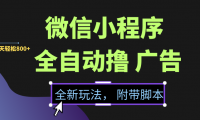 微信小程序挂机撸广告,全新玩法,新手一天轻松800+【附带脚本】