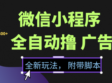 微信小程序挂机撸广告,全新玩法,新手一天轻松800+【附带脚本】